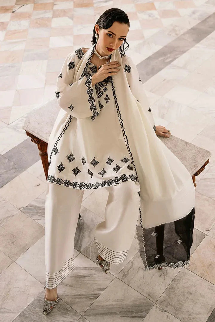JUNA Dananeer 3PC - Desi Rang